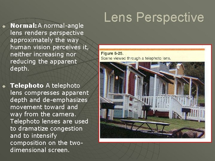 u u Normal: A normal-angle lens renders perspective approximately the way human vision perceives