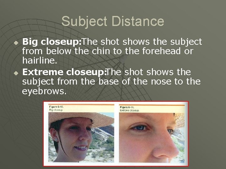 Subject Distance u u Big closeup: The shot shows the subject from below the