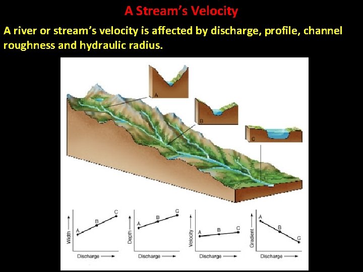 A Stream’s Velocity A river or stream’s velocity is affected by discharge, profile, channel