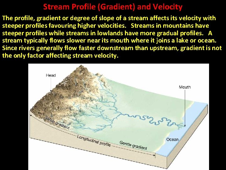 Stream Profile (Gradient) and Velocity The profile, gradient or degree of slope of a