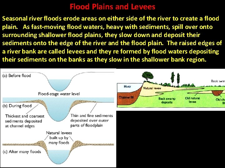 Flood Plains and Levees Seasonal river floods erode areas on either side of the