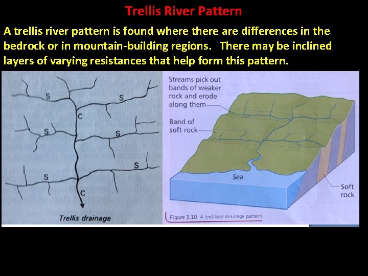 Trellis River Pattern A trellis river pattern is found where there are differences in