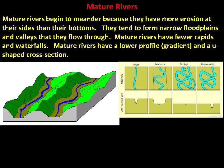 Mature Rivers Mature rivers begin to meander because they have more erosion at their