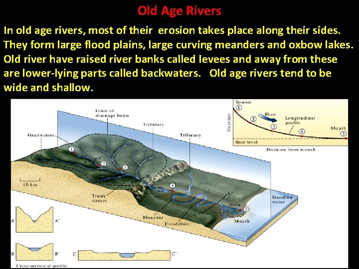 Old Age Rivers In old age rivers, most of their erosion takes place along