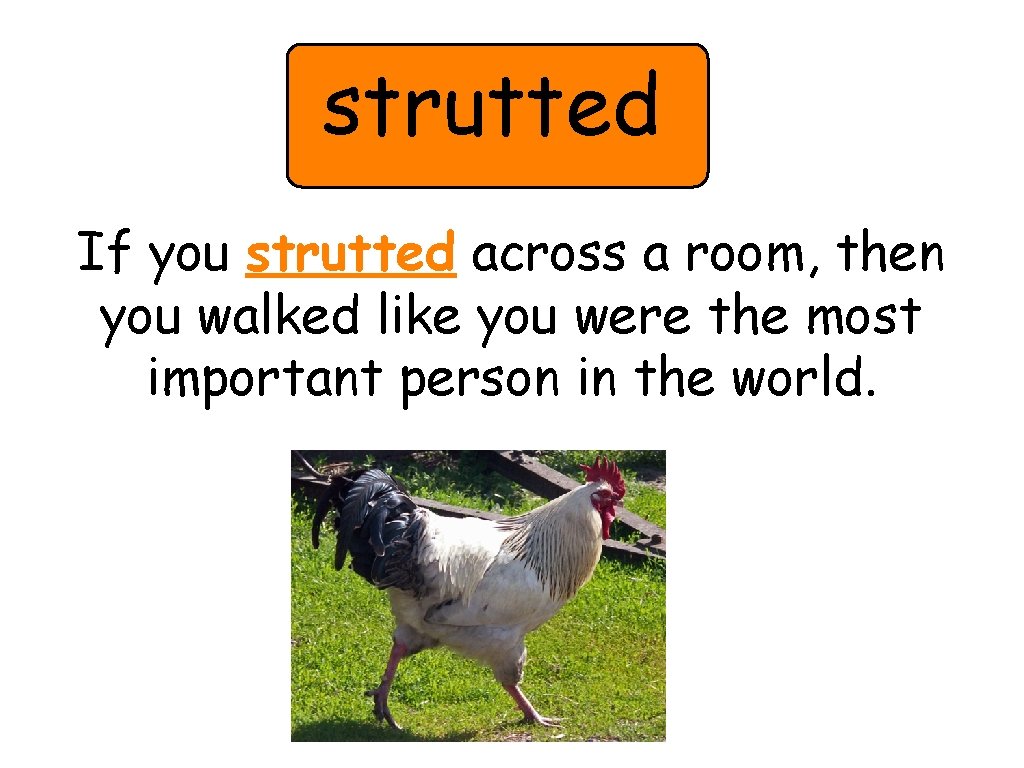 strutted If you strutted across a room, then you walked like you were the