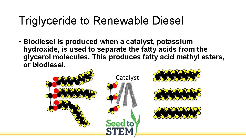 Triglyceride to Renewable Diesel • Biodiesel is produced when a catalyst, potassium hydroxide, is