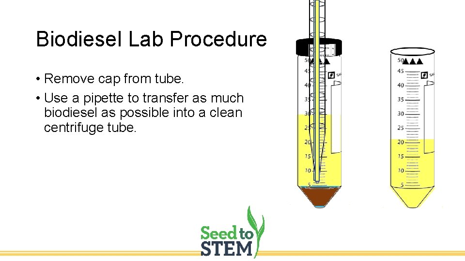 Biodiesel Lab Procedure • Remove cap from tube. • Use a pipette to transfer