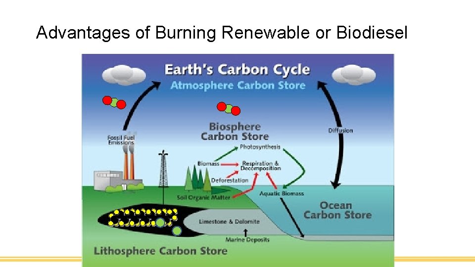 Advantages of Burning Renewable or Biodiesel 