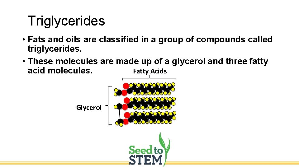Triglycerides • Fats and oils are classified in a group of compounds called triglycerides.