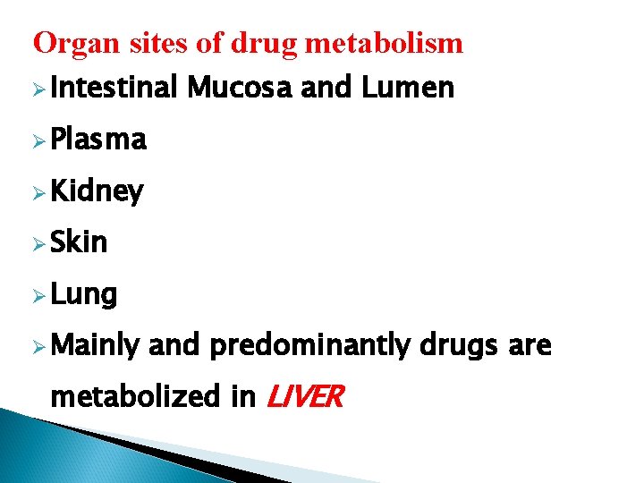 Organ sites of drug metabolism Ø Intestinal Mucosa and Lumen Ø Plasma Ø Kidney