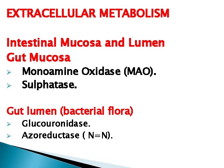 EXTRACELLULAR METABOLISM Intestinal Mucosa and Lumen Gut Mucosa Ø Ø Monoamine Oxidase (MAO). Sulphatase.