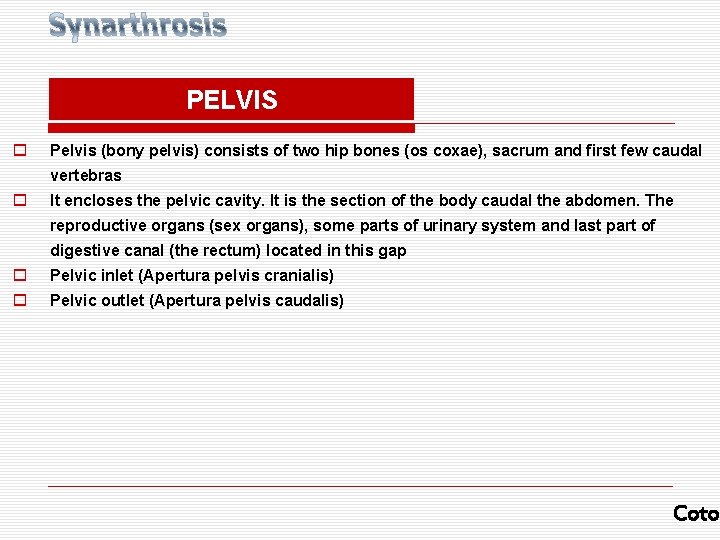 PELVIS o Pelvis (bony pelvis) consists of two hip bones (os coxae), sacrum and