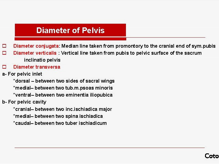 Diameter of Pelvis o o Diameter conjugata: Median line taken from promontory to the