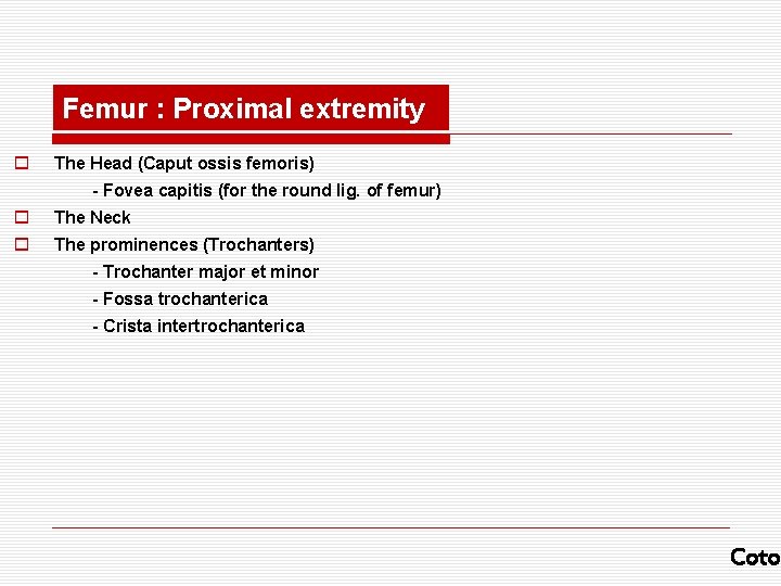 Femur : Proximal extremity o The Head (Caput ossis femoris) - Fovea capitis (for