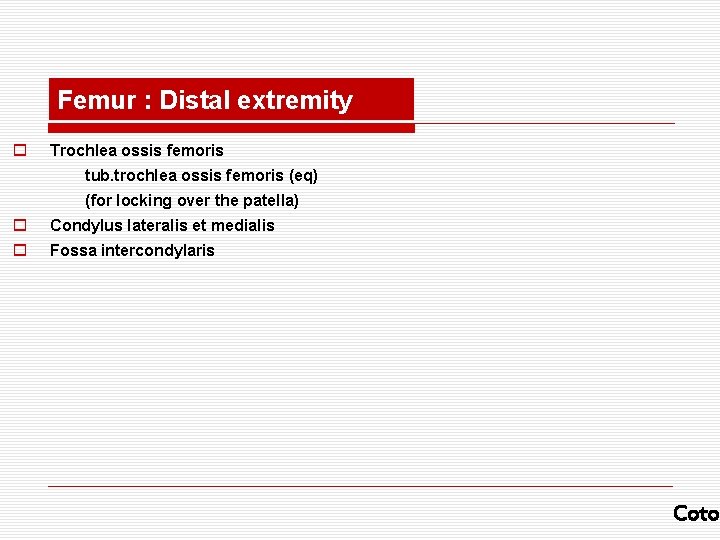 Femur : Distal extremity o Trochlea ossis femoris tub. trochlea ossis femoris (eq) (for