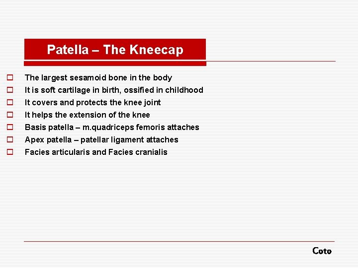 Patella – The Kneecap o The largest sesamoid bone in the body o It