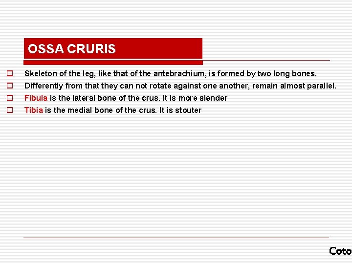 OSSA CRURIS o Skeleton of the leg, like that of the antebrachium, is formed