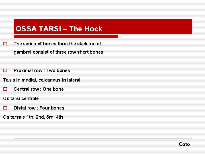 OSSA TARSI – The Hock o The series of bones form the skeleton of