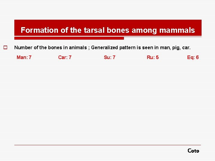 Formation of the tarsal bones among mammals o Number of the bones in animals