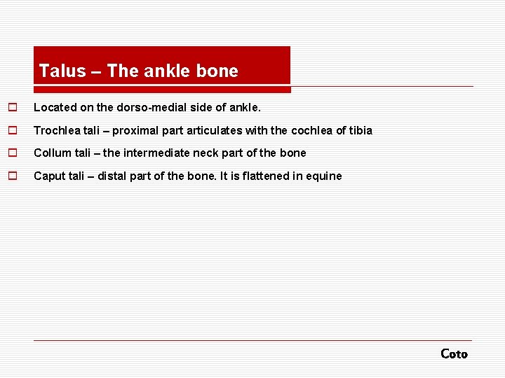 Talus – The ankle bone o Located on the dorso-medial side of ankle. o