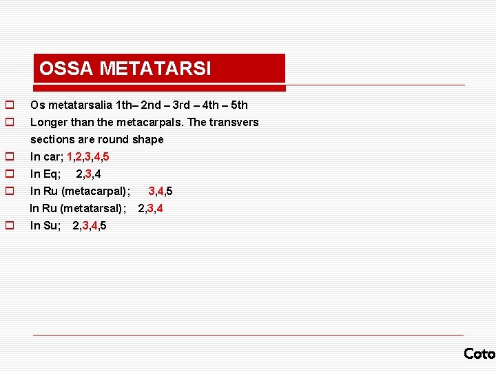 OSSA METATARSI o Os metatarsalia 1 th– 2 nd – 3 rd – 4