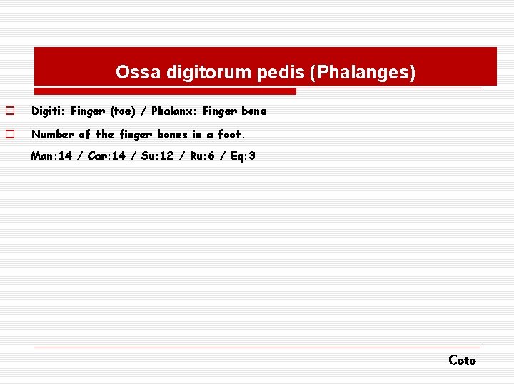 Ossa digitorum pedis (Phalanges) o Digiti: Finger (toe) / Phalanx: Finger bone o Number