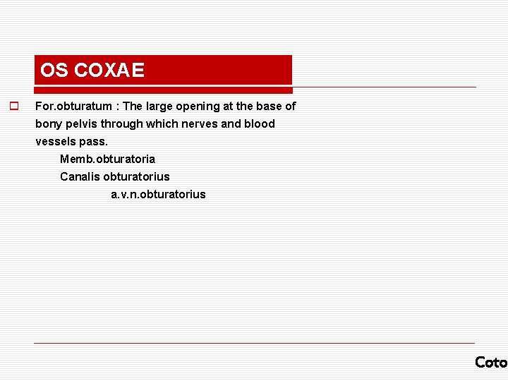 OS COXAE o For. obturatum : The large opening at the base of bony