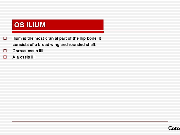OS ILIUM o Ilium is the most cranial part of the hip bone. It
