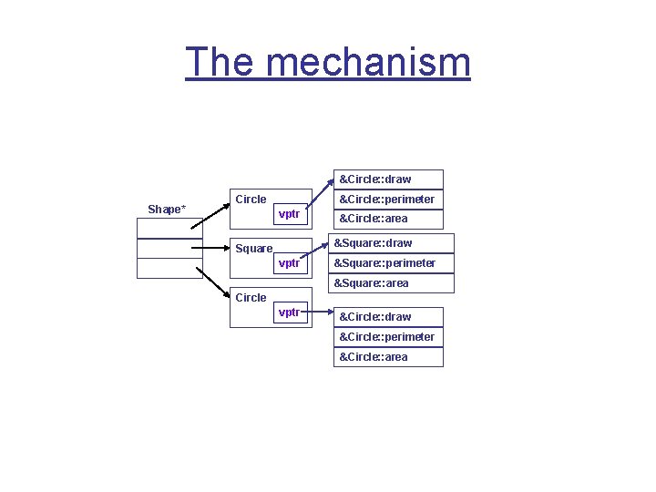 The mechanism &Circle: : draw Shape* Circle &Circle: : perimeter vptr &Circle: : area