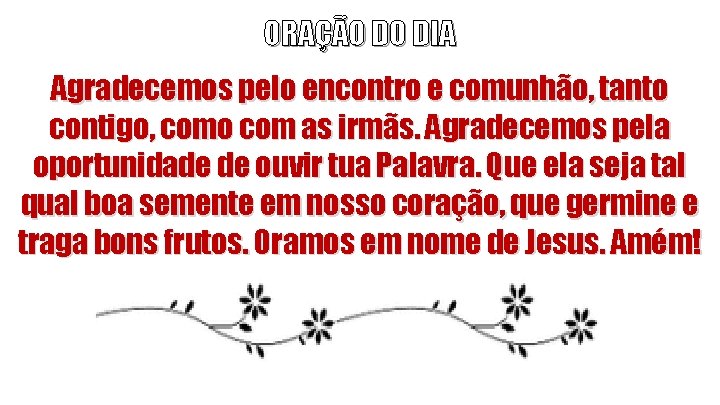 ORAÇÃO DO DIA Agradecemos pelo encontro e comunhão, tanto contigo, como com as irmãs.