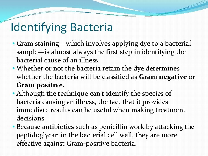 Identifying Bacteria • Gram staining—which involves applying dye to a bacterial sample—is almost always