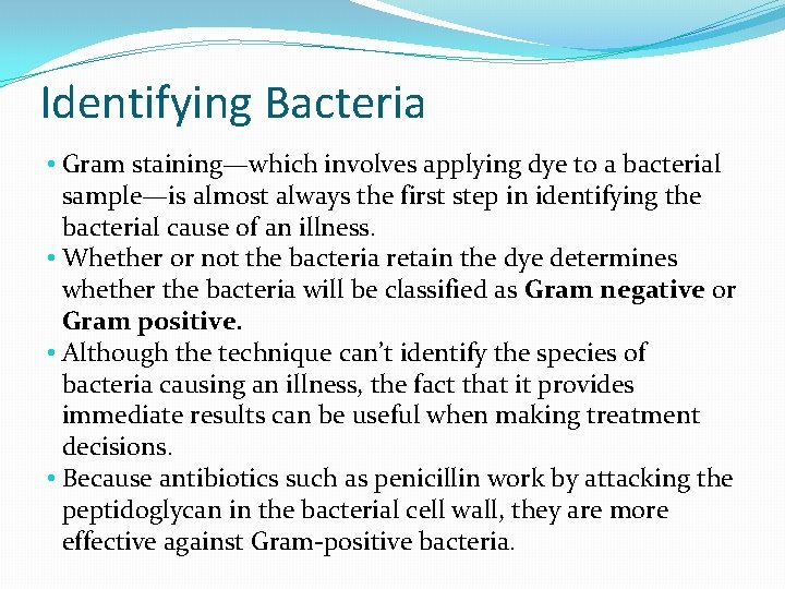 Identifying Bacteria • Gram staining—which involves applying dye to a bacterial sample—is almost always Identifying Bacteria • Gram staining—which involves applying dye to a bacterial sample—is almost always