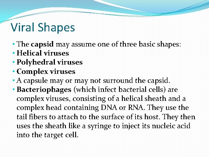 Viral Shapes • The capsid may assume one of three basic shapes: • Helical