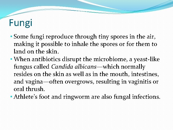 Fungi • Some fungi reproduce through tiny spores in the air, making it possible