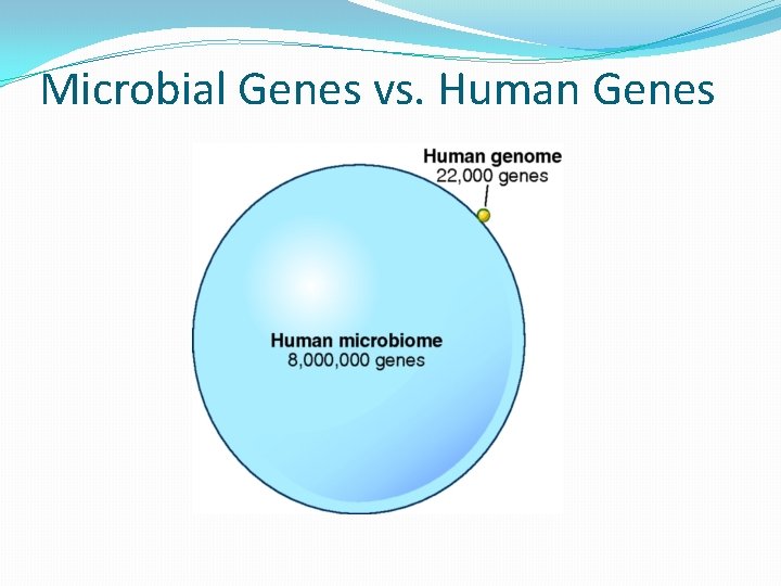 Microbial Genes vs. Human Genes  Microbial Genes vs. Human Genes