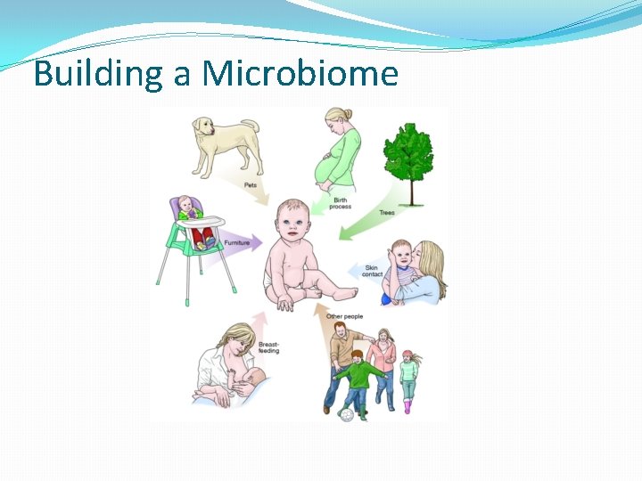 Building a Microbiome 