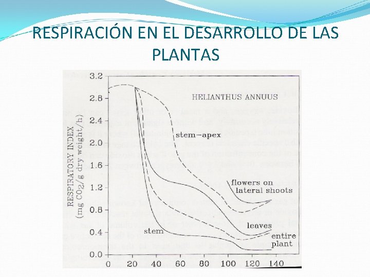 RESPIRACIÓN EN EL DESARROLLO DE LAS PLANTAS 