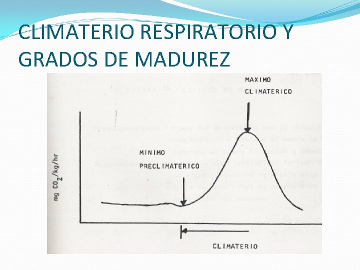 CLIMATERIO RESPIRATORIO Y GRADOS DE MADUREZ 