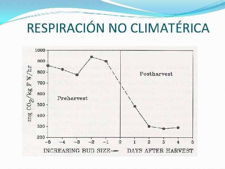 RESPIRACIÓN NO CLIMATÉRICA 