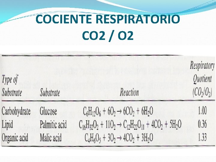 COCIENTE RESPIRATORIO CO 2 / O 2 