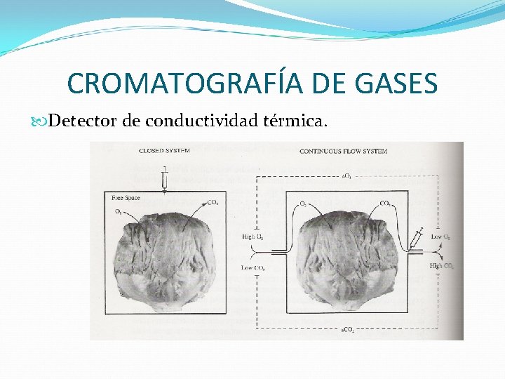 CROMATOGRAFÍA DE GASES Detector de conductividad térmica. 