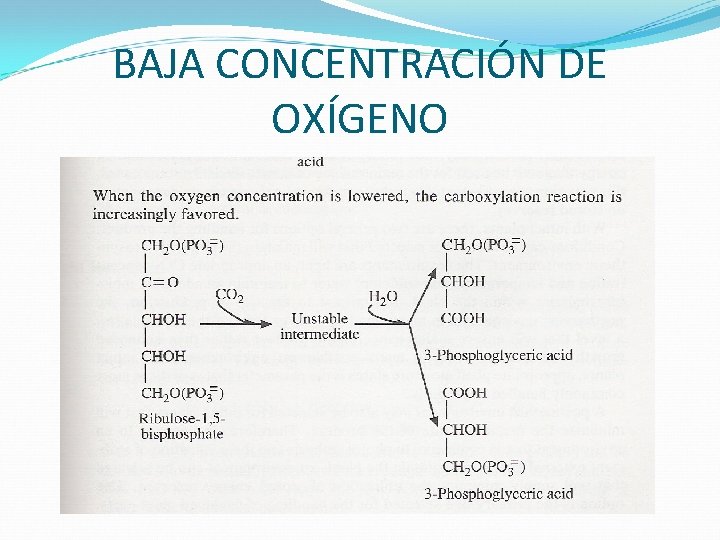 BAJA CONCENTRACIÓN DE OXÍGENO 