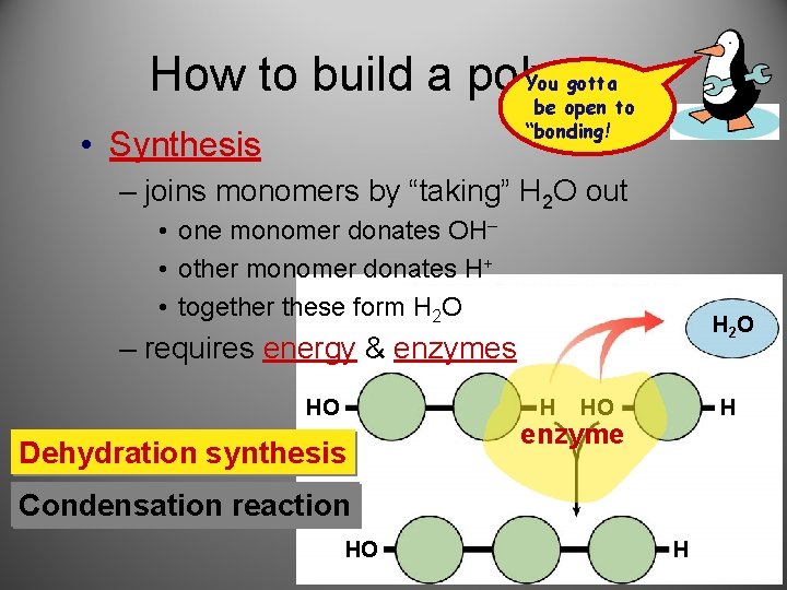 You gotta How to build a polymer be open to “bonding! • Synthesis –