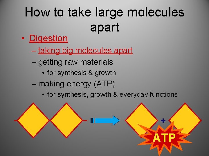 How to take large molecules apart • Digestion – taking big molecules apart –