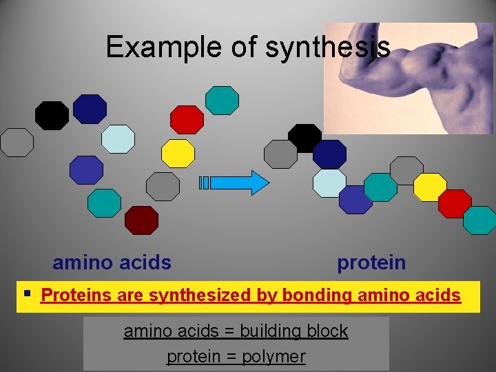 Example of synthesis amino acids protein § Proteins are synthesized by bonding amino acids