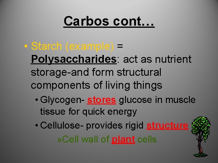 Carbos cont… • Starch (example) = Polysaccharides: act as nutrient storage-and form structural components