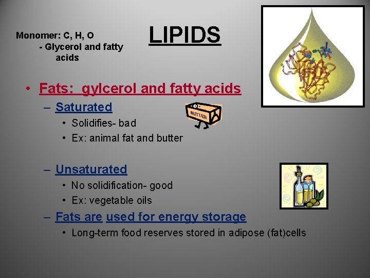 Monomer: C, H, O - Glycerol and fatty acids LIPIDS • Fats: gylcerol and