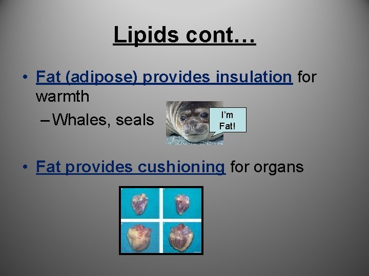 Lipids cont… • Fat (adipose) provides insulation for warmth I’m – Whales, seals Fat!