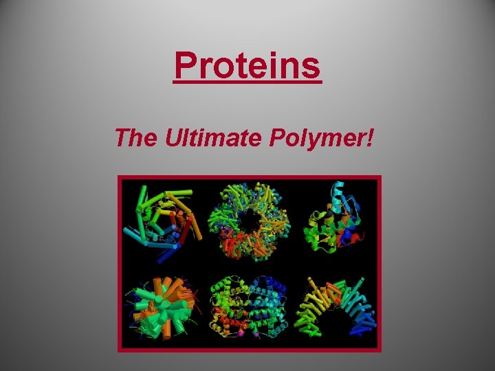 Proteins The Ultimate Polymer! 