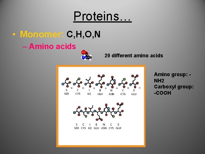 Proteins… • Monomer: C, H, O, N – Amino acids 20 different amino acids